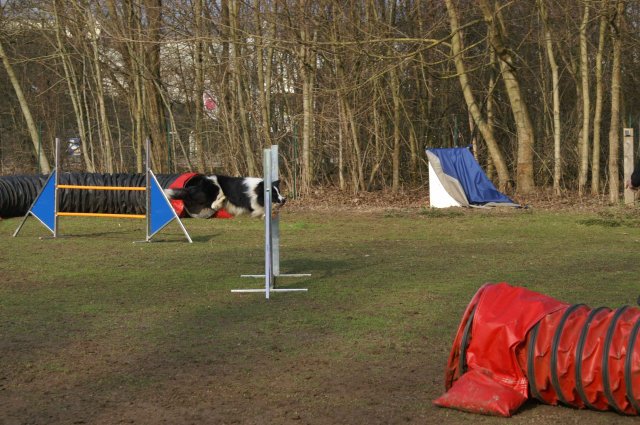 agilty 2013-03-03