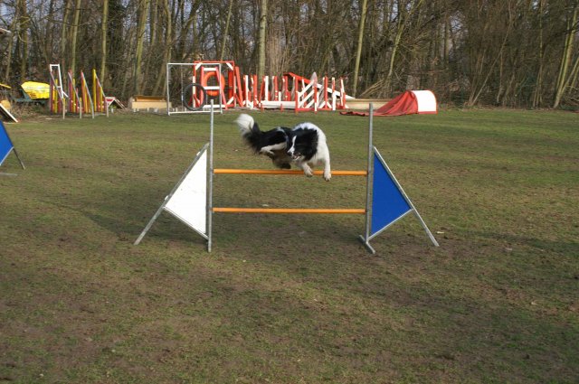 agilty 2013-03-03