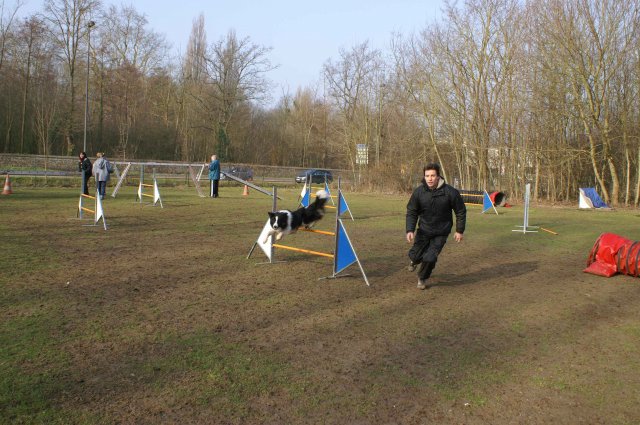 agilty 2013-03-03
