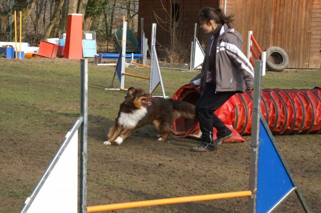 agilty 2013-03-03