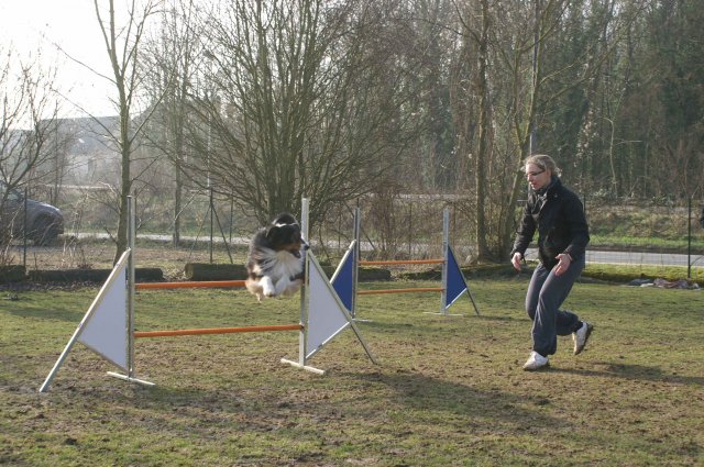 agilty 2013-03-03