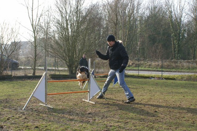 agilty 2013-03-03