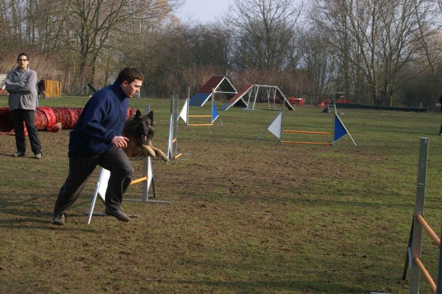 agilty 2013-03-03