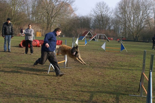 agilty 2013-03-03