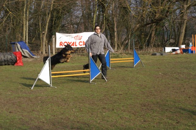 agilty 2013-03-03