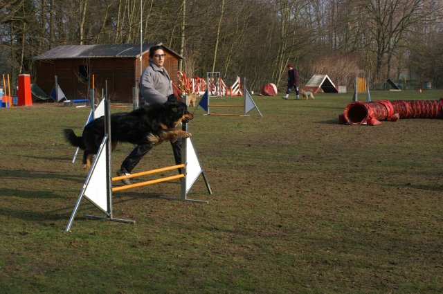agilty 2013-03-03