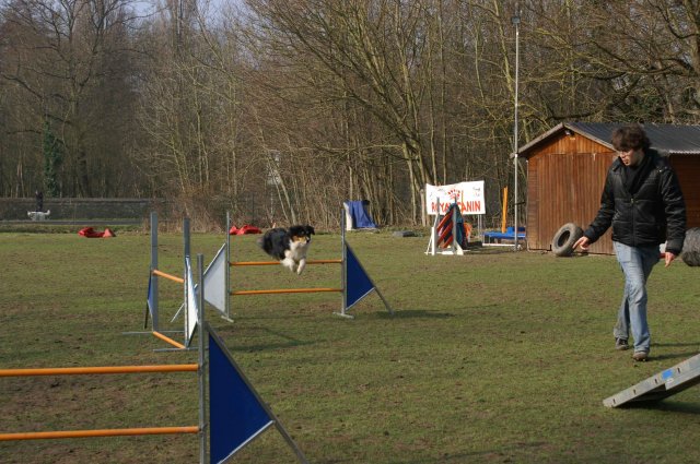agilty 2013-03-03