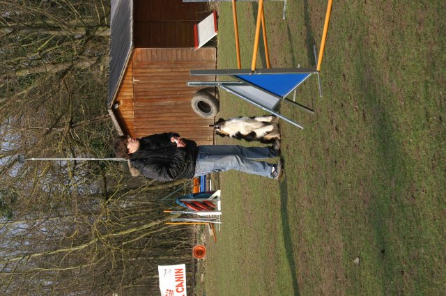 agilty 2013-03-03