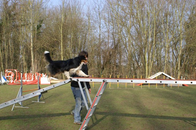 agilty 2013-03-03