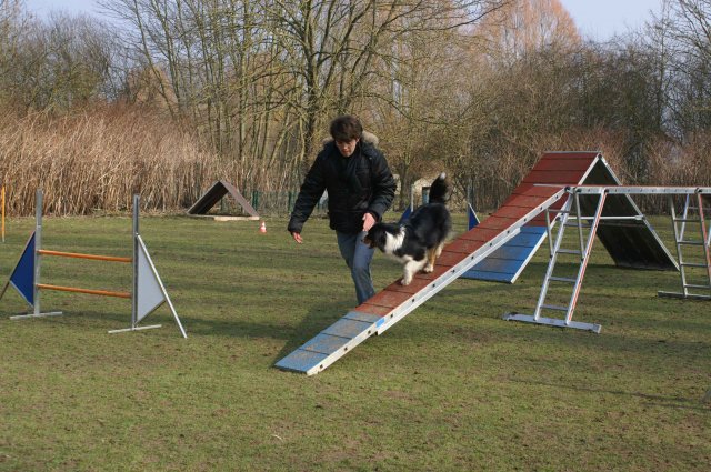 agilty 2013-03-03