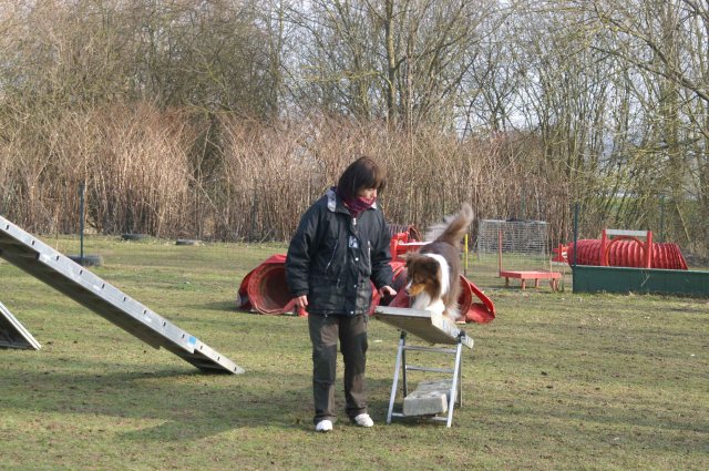 agilty 2013-03-03