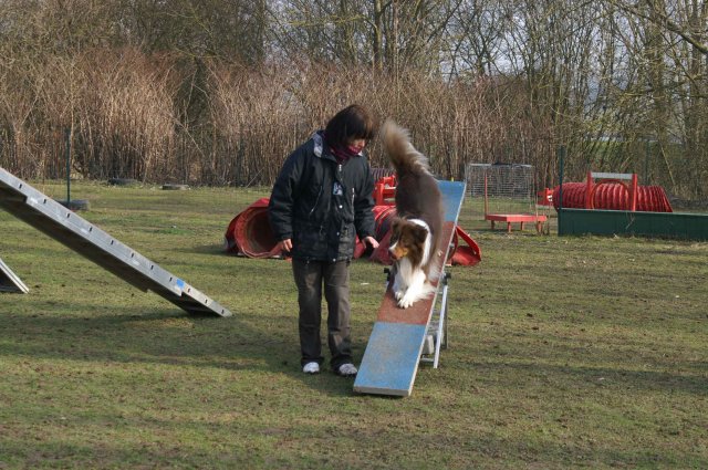 agilty 2013-03-03