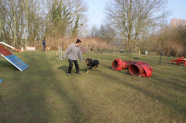 agilty 2013-03-03