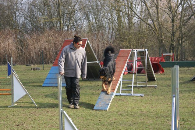 agilty 2013-03-03