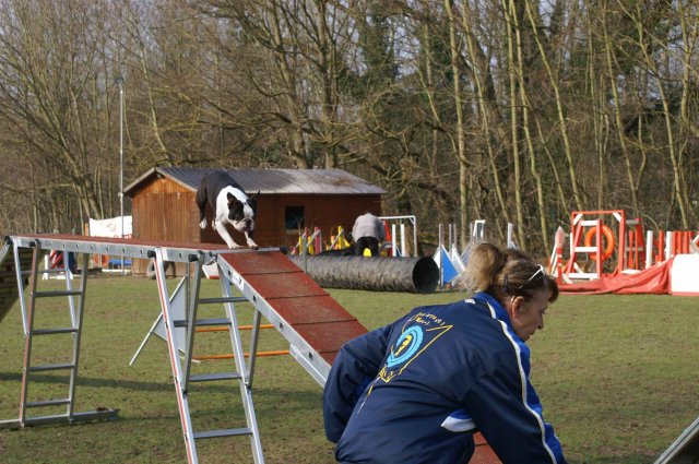 agilty 2013-03-03