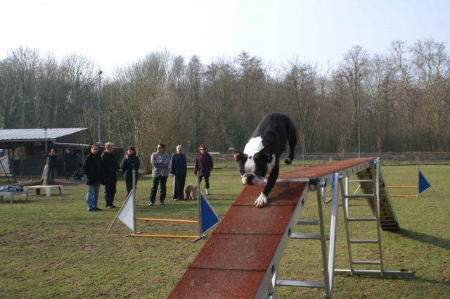 agilty 2013-03-03