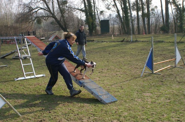 agilty 2013-03-03