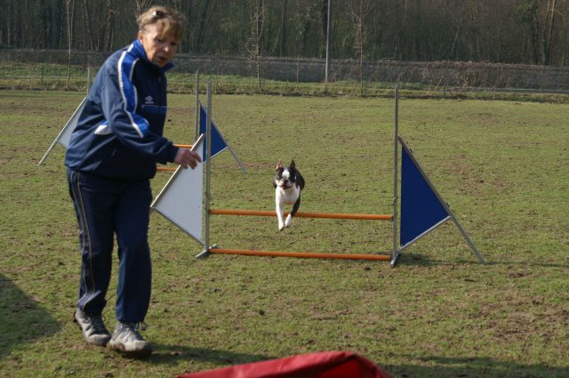 agilty 2013-03-03