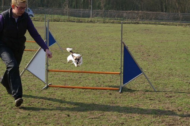 agilty 2013-03-03