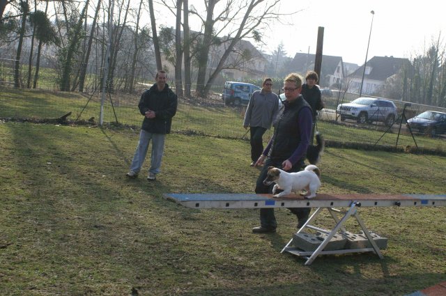 agilty 2013-03-03