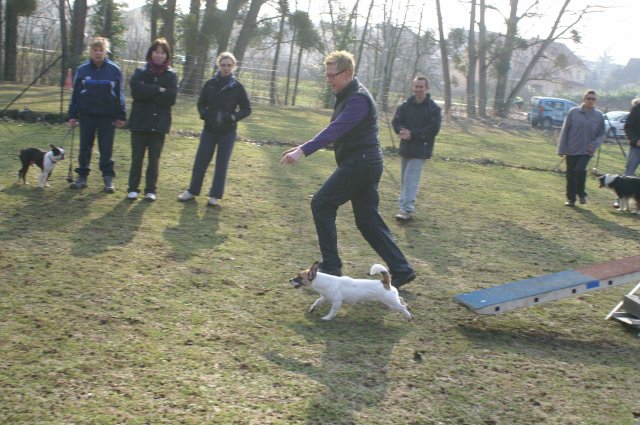 agilty 2013-03-03