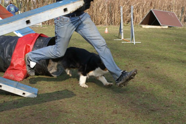 agilty 2013-03-03