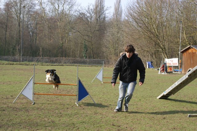 agilty 2013-03-03