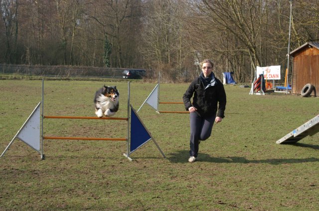 agilty 2013-03-03