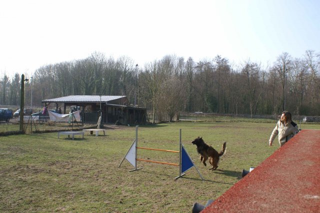 agilty 2013-03-03