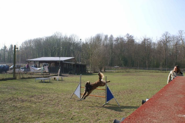 agilty 2013-03-03