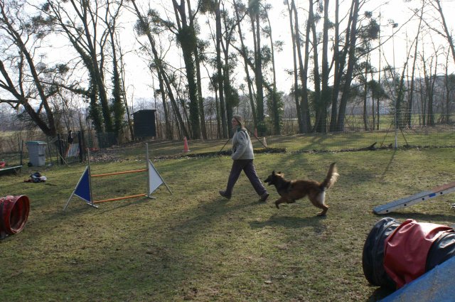 agilty 2013-03-03