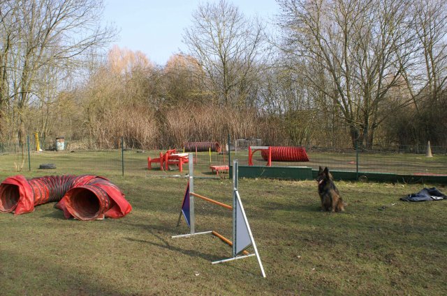 agilty 2013-03-03