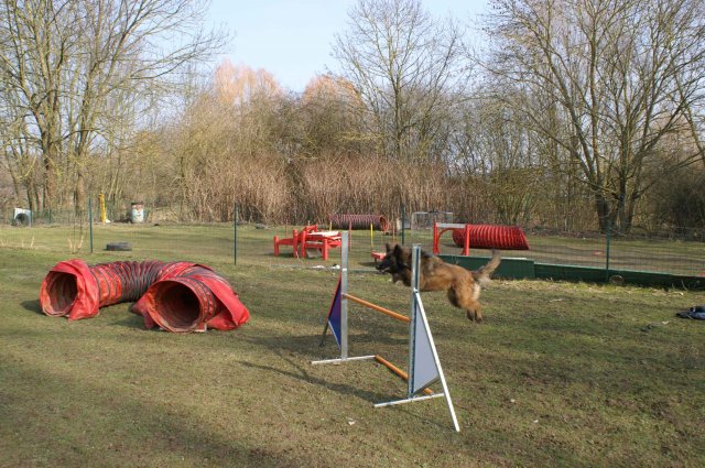agilty 2013-03-03