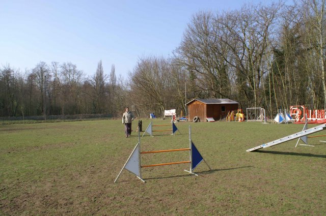 agilty 2013-03-03