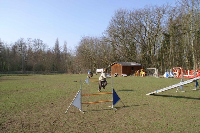 agilty 2013-03-03