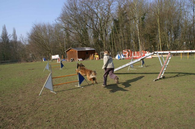 agilty 2013-03-03
