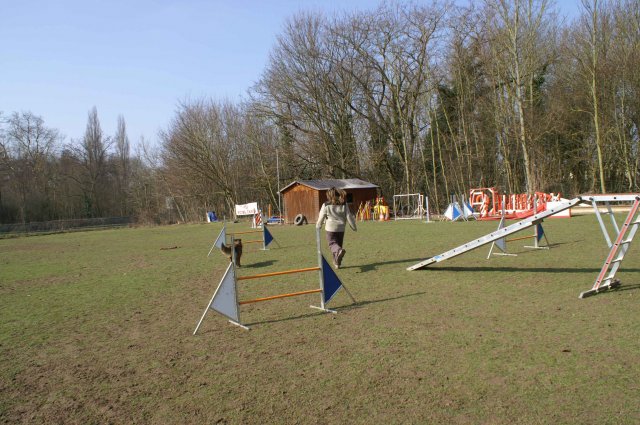 agilty 2013-03-03