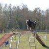 agilty 2013-03-03