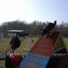 agilty 2013-03-03