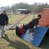 agilty 2013-03-03