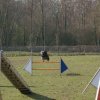 agilty 2013-03-03