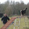 agilty 2013-03-03