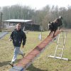 agilty 2013-03-03