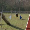 agilty 2013-03-03