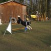 agilty 2013-03-03