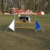 agilty 2013-03-03