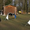 agilty 2013-03-03