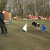 agilty 2013-03-03
