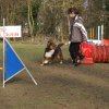 agilty 2013-03-03