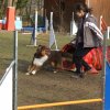 agilty 2013-03-03